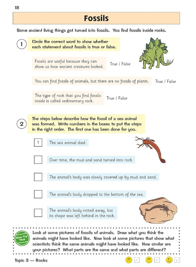Coordination Group Publications Ltd (CGP) KS2 Science Year 3 Targeted Question Book (includes answers) Year 3 Science) - Image 4