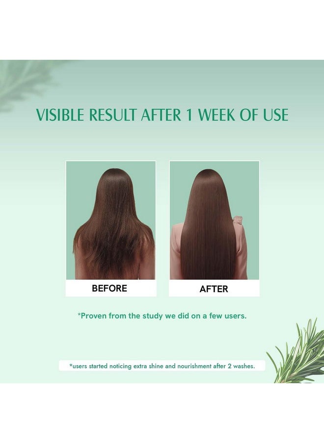 Aravi Organic Rosemary Hair Growth Shampoo And Conditioner Combo | Reduces Hair Fall & Strengthens Hair | For Men & Women - Pack Of 2  - Image 4
