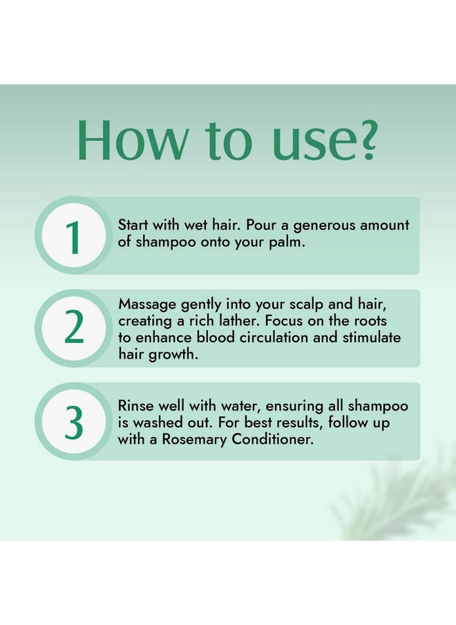 Aravi Organic Rosemary Hair Growth Shampoo And Conditioner Combo | Reduces Hair Fall & Strengthens Hair | For Men & Women - Pack Of 2  - Image 5