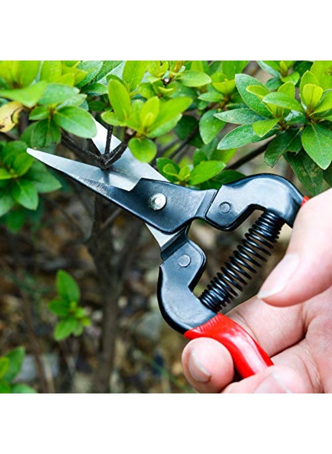 Professional Pruning Shears Made By Taiwan Pruning Shears for Flowers, Shrubs and Branches, Stainless Blade - Image 2