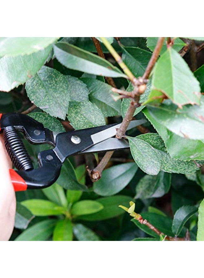 Professional Pruning Shears Made By Taiwan Pruning Shears for Flowers, Shrubs and Branches, Stainless Blade - Image 3