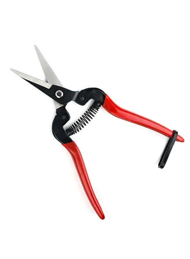 Professional Pruning Shears Made By Taiwan Pruning Shears for Flowers, Shrubs and Branches, Stainless Blade - Image 4