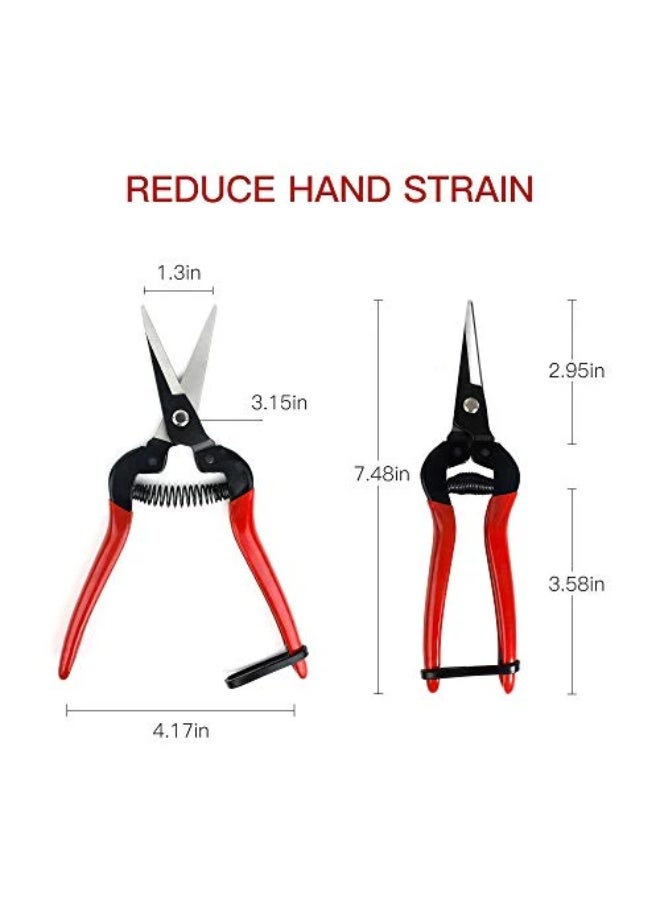 Professional Pruning Shears Made By Taiwan Pruning Shears for Flowers, Shrubs and Branches, Stainless Blade - Image 1