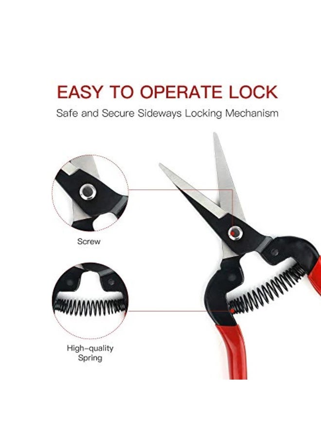 Professional Pruning Shears Made By Taiwan Pruning Shears for Flowers, Shrubs and Branches, Stainless Blade - Image 5