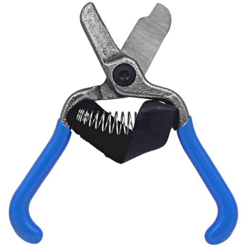 Zenport H322 Fruit Shears/Lemon Citrus Clippers with Strap, Forged Stainless Steel, 5.5-Inch Long - Image 1