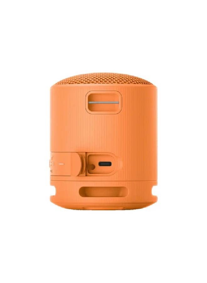 Sony Portable Wireless Speaker SRS-XB100/D Orange - Image 2