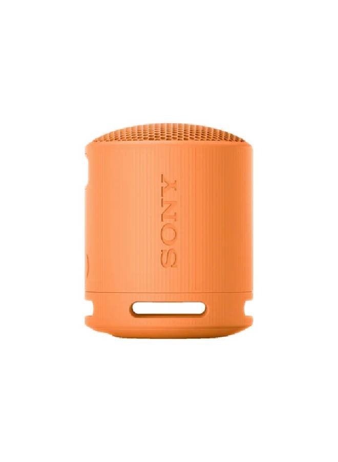 Sony Portable Wireless Speaker SRS-XB100/D Orange - Image 1