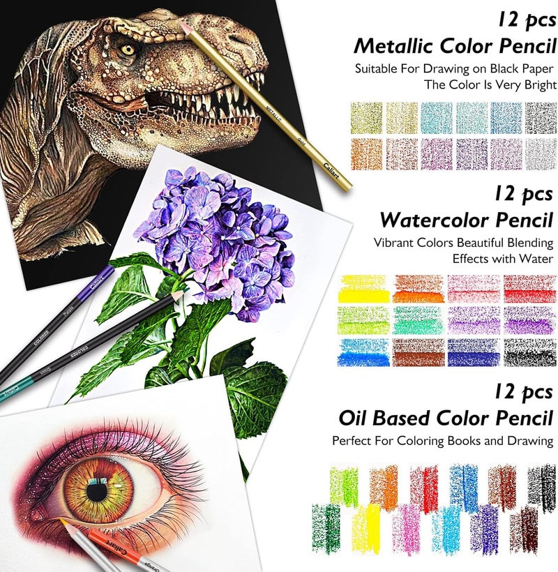 Caliart 176PCS Art Supplies Sketching Kit with 100 Sheets 3-Color Sketch Book, Graphite Colored Charcoal Watercolor & Metallic Pencils, Drawing Supplies Christmas Gifts for Artists Adults Beginners - Image 3