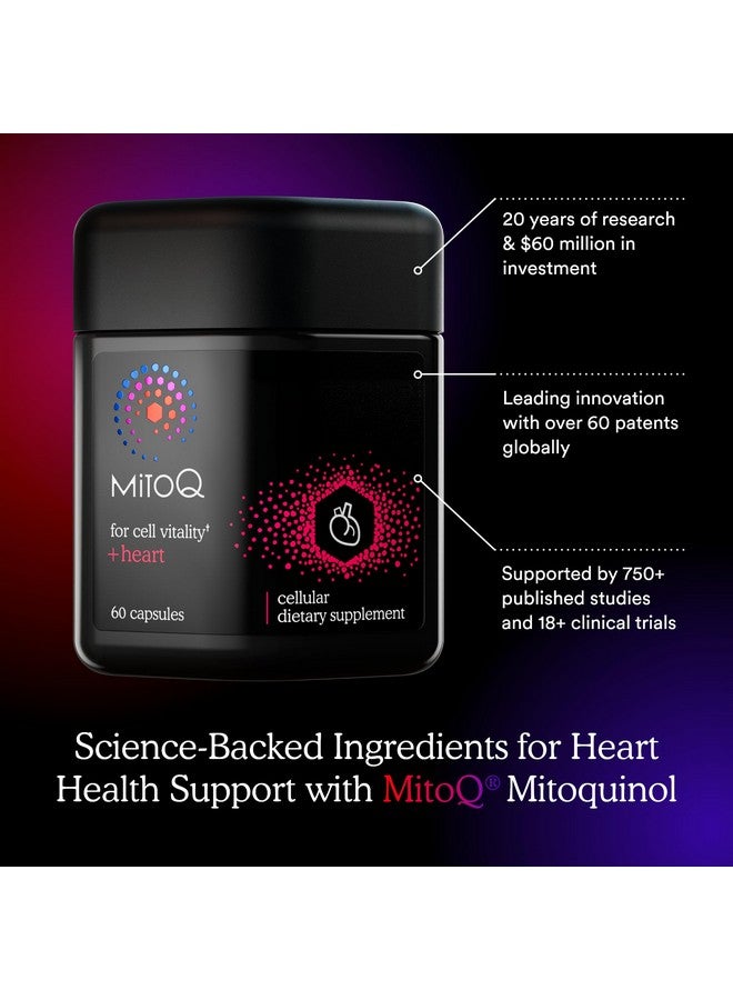 MitoQ +Heart Premium CoQ10 Antioxidant - Contains Mitoquinol Mesylate, Magnesium, L-Carnitine & Vitamin D3 - Supports Cardiovascular and Circulatory Health, & Cell Vitality (60 Capsules) - Image 3