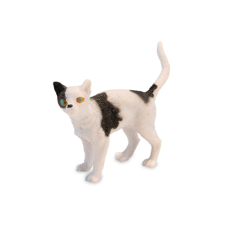 MindWare Dig It Up Discoveries: Cats â€“ Party-Sized 12-Pack of Educational Discovery Digs for Kids with Tools & Fun Facts â€“ Learn All About Cats! - Image 4