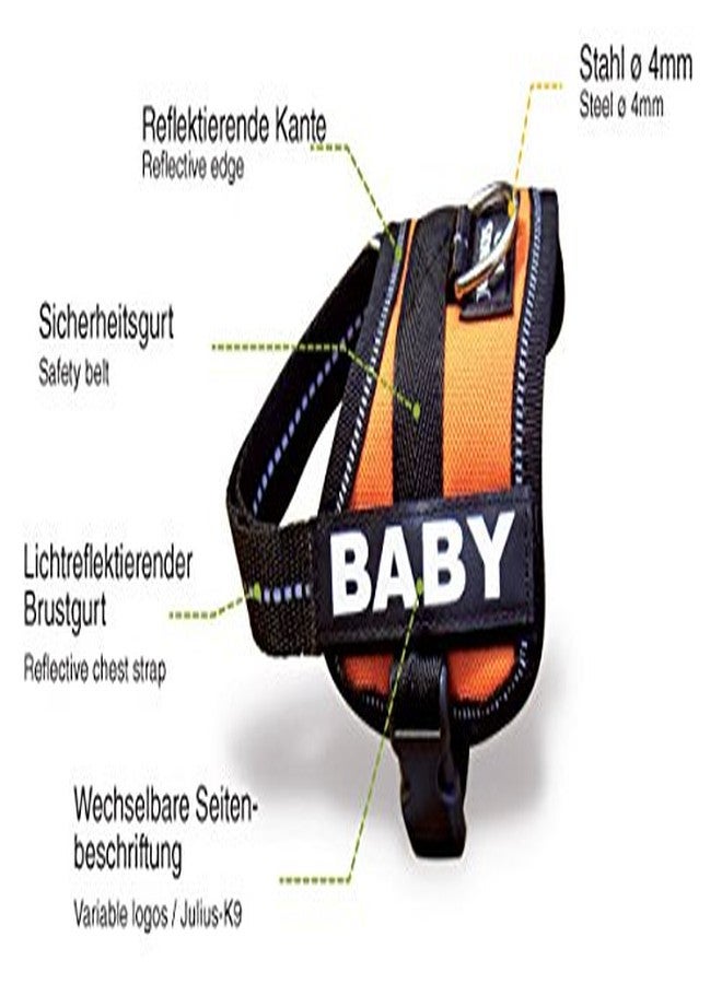 جوليوس كيه 9 حزام K9 Powerharness، المقاس: صغير 1، لون كيوي - Image 2