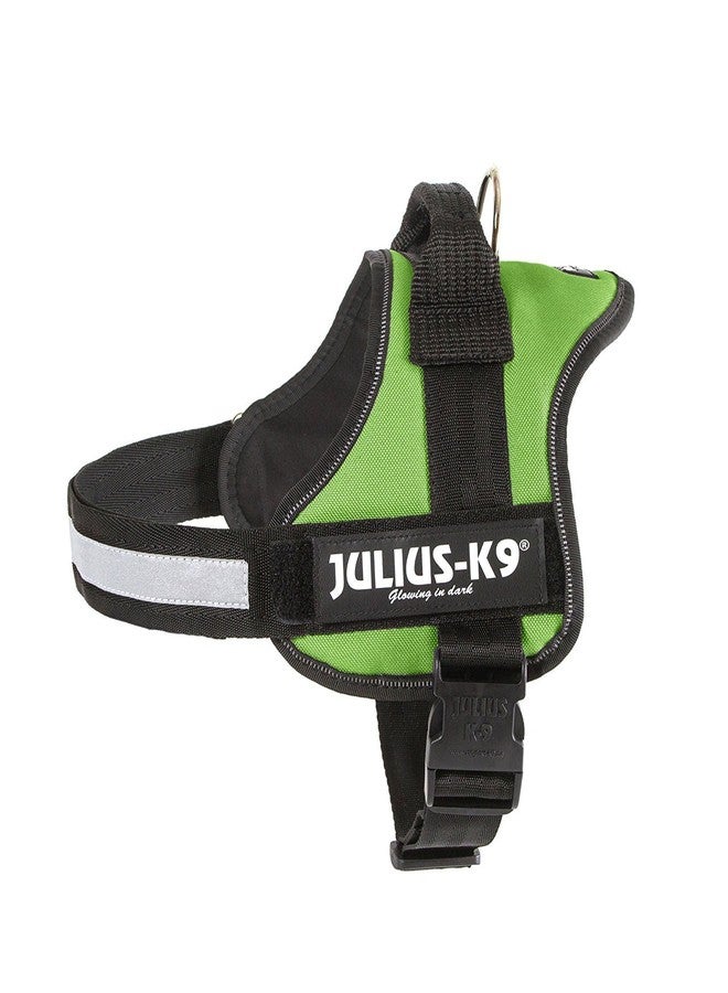 جوليوس كيه 9 حزام K9 Powerharness، المقاس: صغير 1، لون كيوي - Image 1