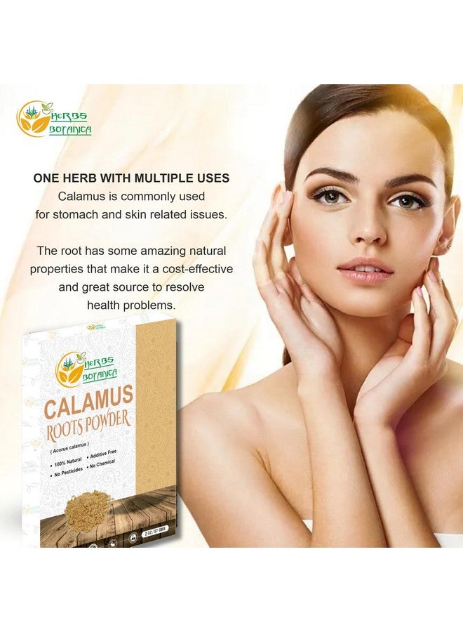 Herbs Botanica Calamus Powder 100% Pure & Organic Acorus Calamus Root Powder for Herbal Tea, Wellness & DIY Use Finely Ground, Non-GMO & Additive Free 2 oz Pack - Image 2