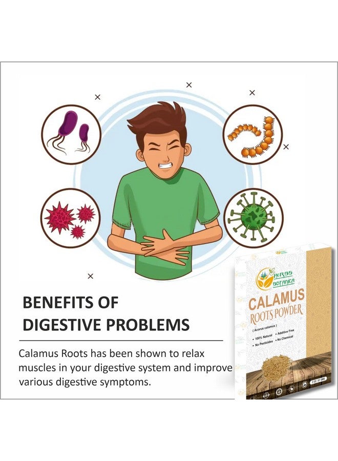 Herbs Botanica Calamus Powder 100% Pure & Organic Acorus Calamus Root Powder for Herbal Tea, Wellness & DIY Use Finely Ground, Non-GMO & Additive Free 2 oz Pack - Image 3