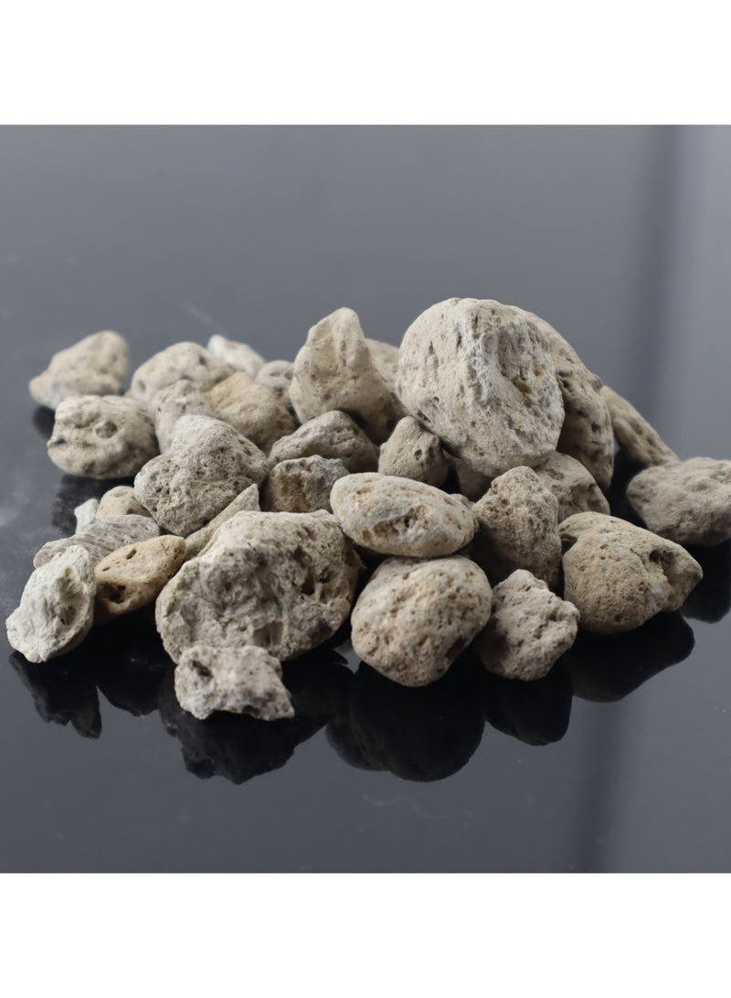 Aquarium terrarium natural floating stone