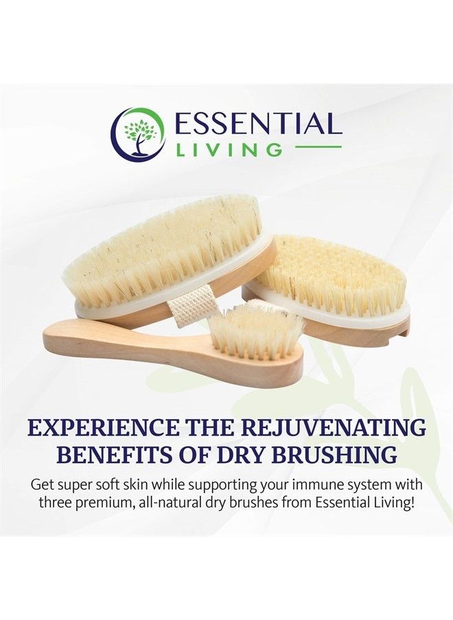 essential Living : 3-Piece Dry Brushing Spa Kit - 1 Face Brush, 2 Body Scrub Brushes and a Cotton Bag - Body and Skin Care for Exfoliation, Blood Circulation and Lymphatic System Stimulation Support  - Image 2