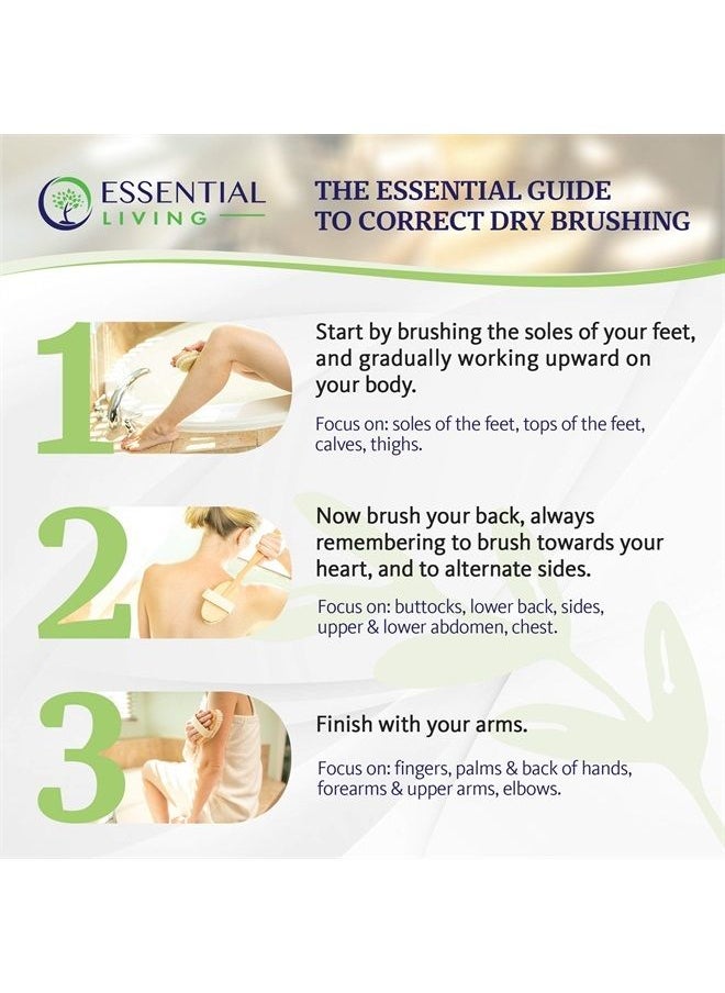 essential Living : 3-Piece Dry Brushing Spa Kit - 1 Face Brush, 2 Body Scrub Brushes and a Cotton Bag - Body and Skin Care for Exfoliation, Blood Circulation and Lymphatic System Stimulation Support  - Image 4