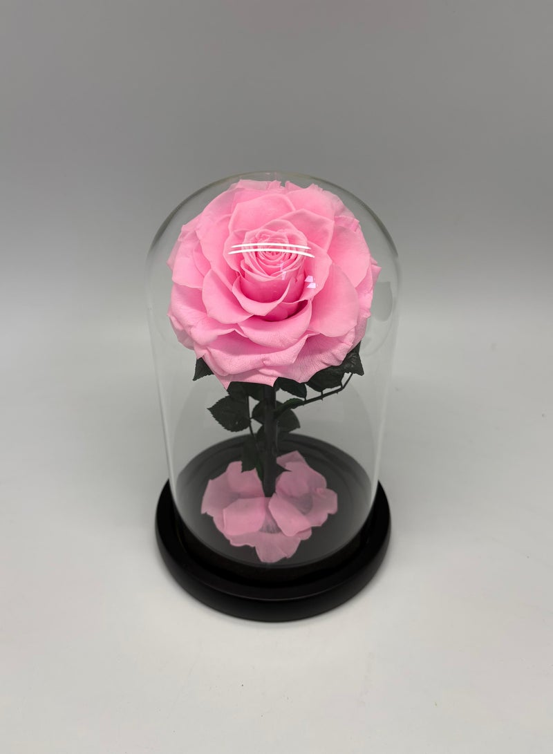 Forever Rose - Preserved Flower Sweet Pink - Image 1