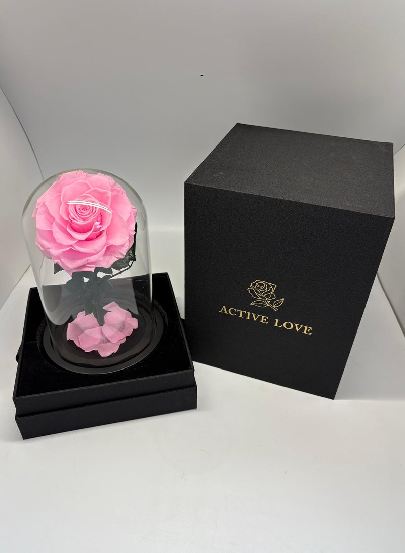 Forever Rose - Preserved Flower Sweet Pink - Image 2
