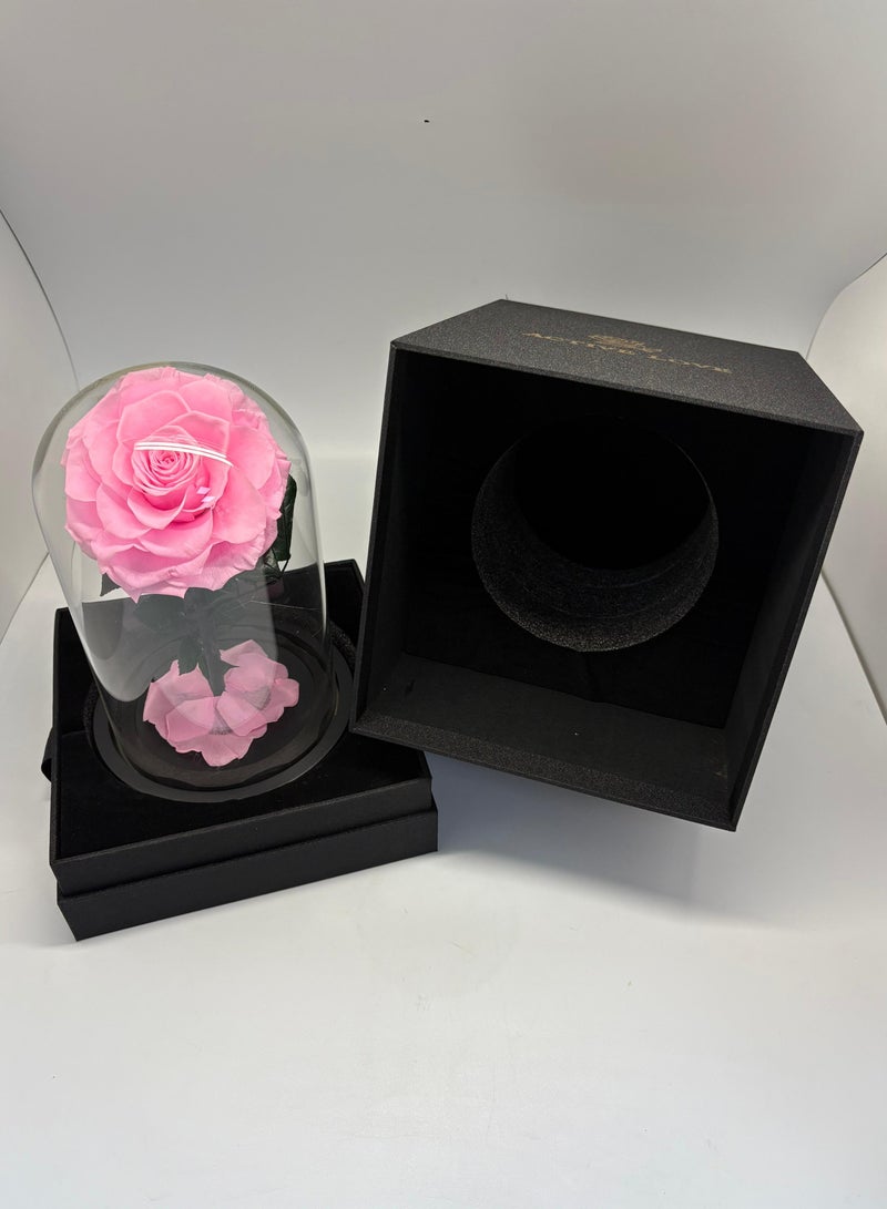 Forever Rose - Preserved Flower Sweet Pink - Image 3