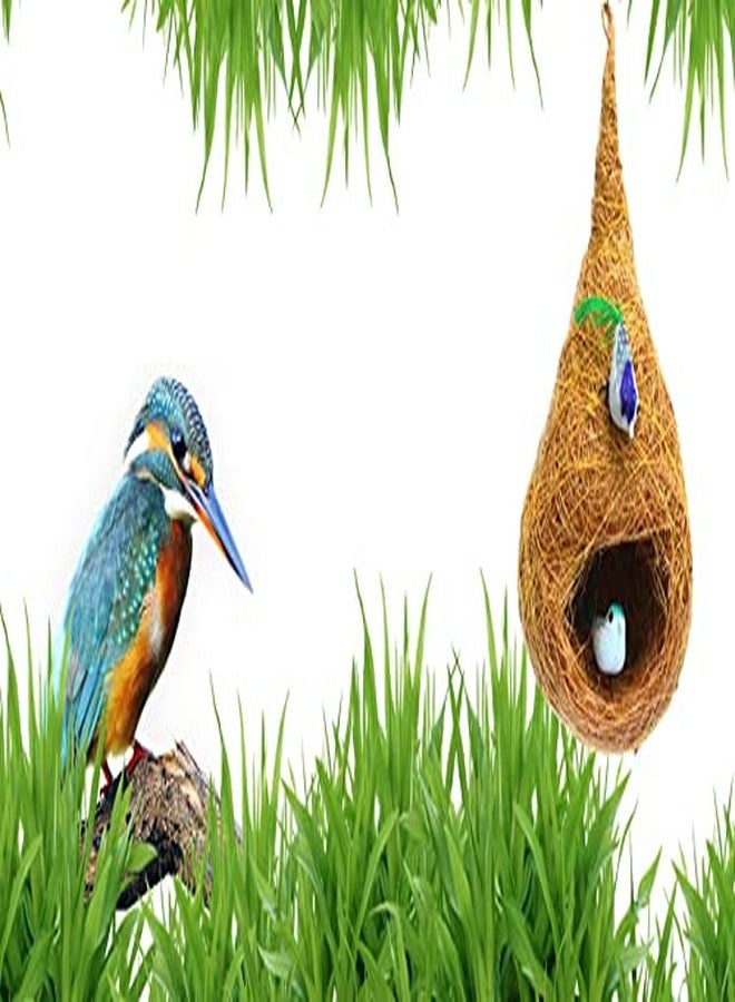 LIVEONCE Coir Made showpiece nest with Two Birds Pack of 1 - Image 3