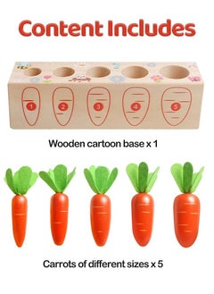 Y&D Toy Carrots, Montessori Toys Wooden Carrots Harvest Shape Size Sorting Game Children's Digital Enlightenment Cognition for Kids 1 2 3 4 Year Old Boys and Girls  - Image 2