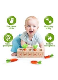 Y&D Toy Carrots, Montessori Toys Wooden Carrots Harvest Shape Size Sorting Game Children's Digital Enlightenment Cognition for Kids 1 2 3 4 Year Old Boys and Girls  - Image 5