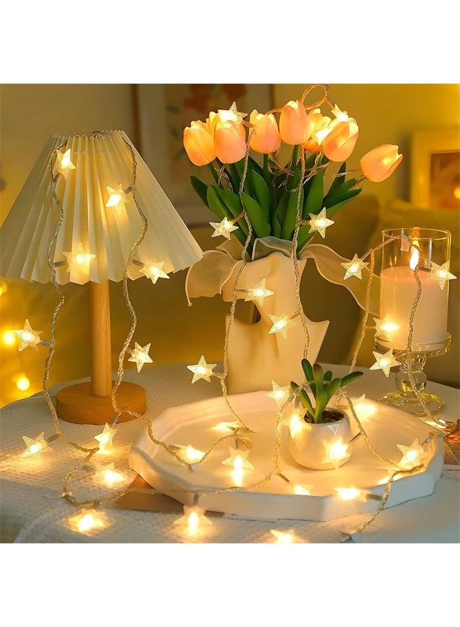 HOMESTAR 20 LED Star String Lights, 10 FT Fairy Christmas Lights, Battery Operated for Indoor, Outdoor, Party, Wedding and Holiday, Decorations Warm White - Image 2