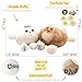 Celestial Buddies Pluto Charon Buddy 75 85 Soft Stuffed Plush Embroidered Features Fun Planet Facts Tag for Kids STEM Learning Educational Gift Classroom Homeschool Science Space Astronomy 0 - Image 4