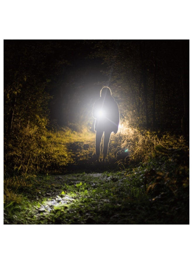 TOTAL Rechargeable LED Flashlight 450 Lumens – Teal – 5 Modes – 2000mAh Li-ion Battery Included - Image 4