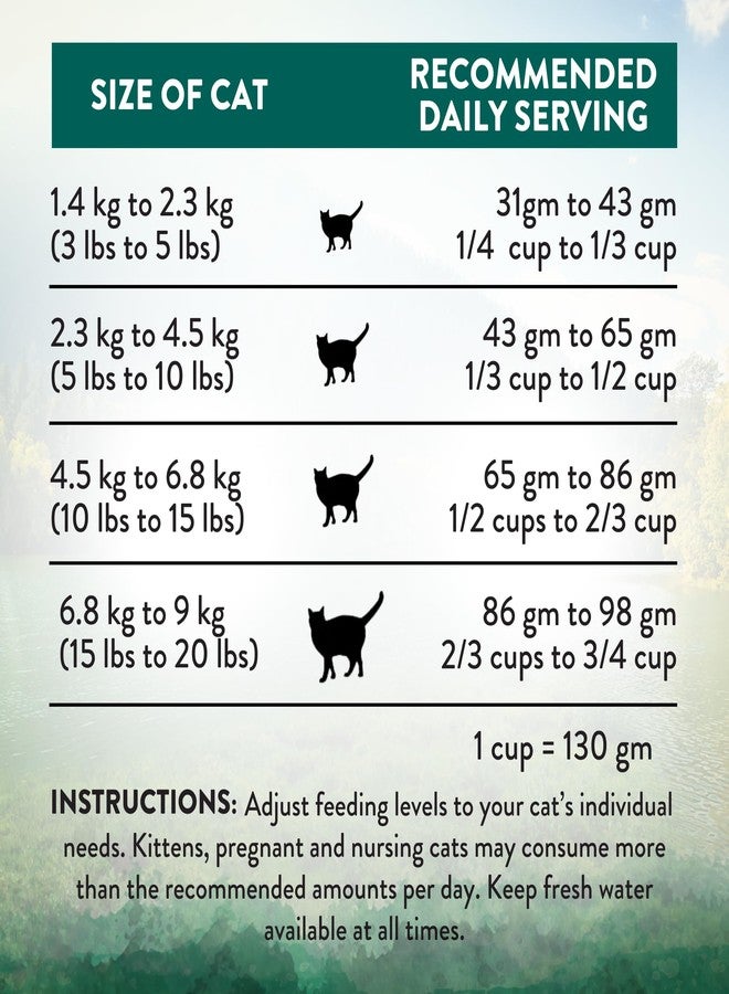 Addiction Wild Islands Island Bird Dry Cat Food, Premium Duck, Turkey & Chicken Recipe with High-Protein & Grain-Free Formula for Feline Health - 10lbs - Image 4