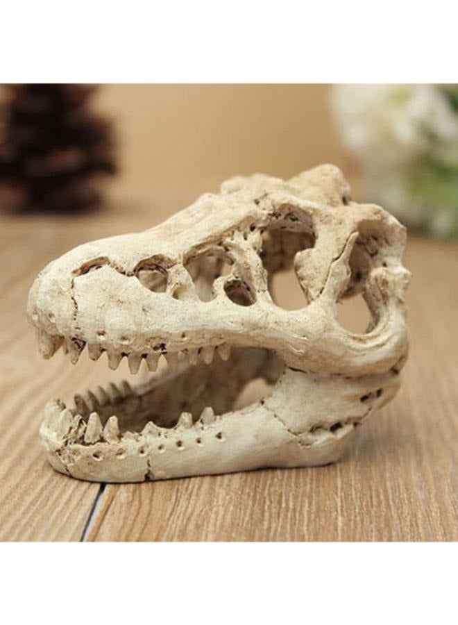 Generic dinasour skull 8.5x5.5X4.5cm  - Image 2