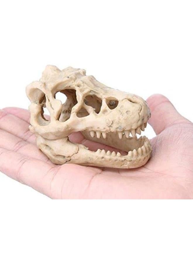 Generic dinasour skull 8.5x5.5X4.5cm  - Image 3