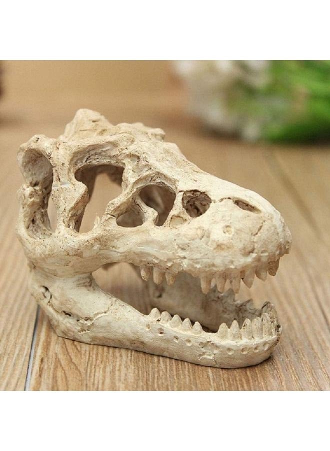 Generic dinasour skull 8.5x5.5X4.5cm  - Image 4