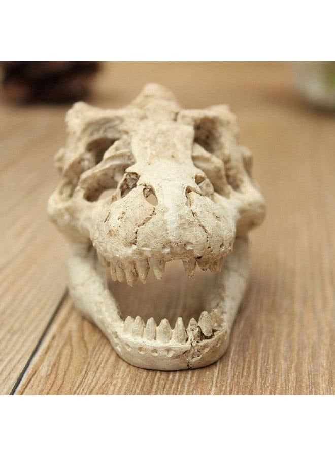 Generic dinasour skull 8.5x5.5X4.5cm  - Image 5