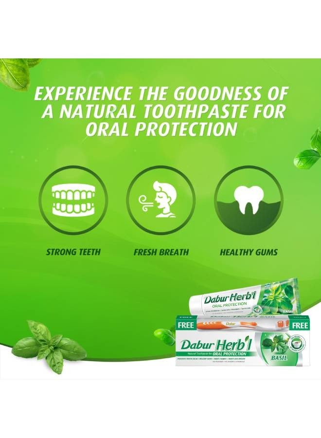 دابر معجون أسنان عشبي + فرشاة أسنان مجانية 140جرام - Image 3