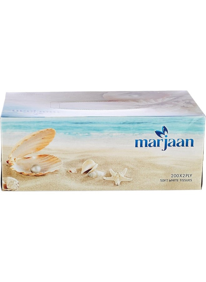 Hotpack Disposable Marjan Facial Tissue, Highly Absorbent, Sterilized, Soft & Strong, 200 Pulls 2 Ply, Pack of 5 Box - pzsku/Z80E9E6909D844828ACB8Z/45/_/1739530022/ca873d36-ae29-40eb-ada6-28fa06ce44cd