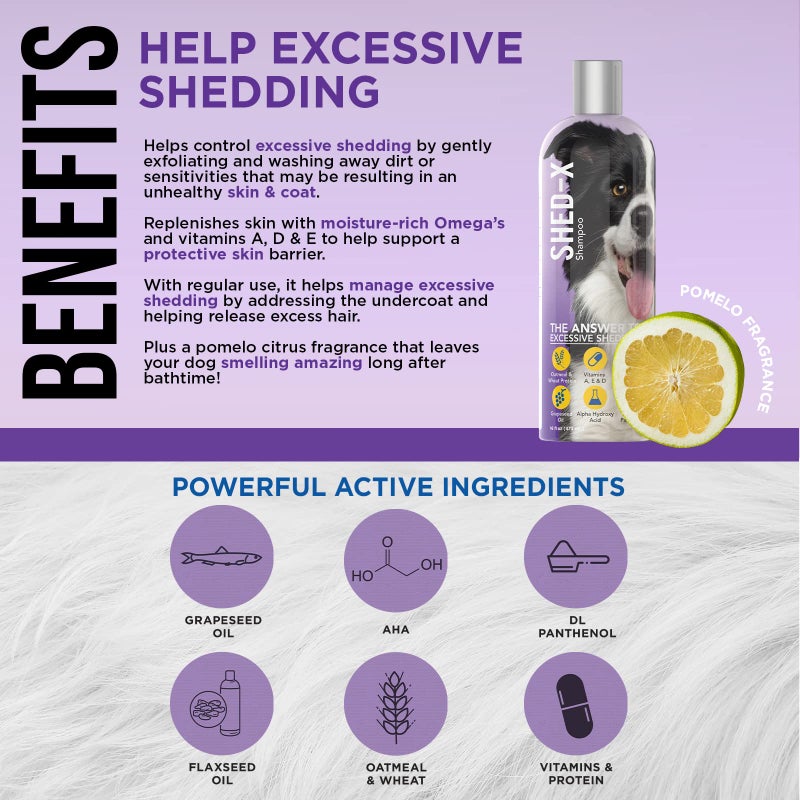 SynergyLabs Shed-X Shed Control Shampoo for Dogs, 16 oz â€“ Reduce Shedding â€“ Shampoo Infuses Skin and Coat with Vitamins and Antioxidants to Clean, Release Excess Hair, and Exfoliate - Image 2
