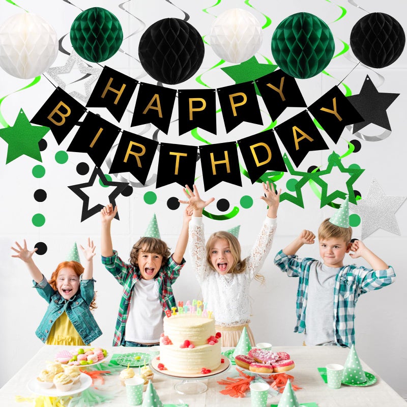 meowtastic Birthday Decorations, Happy Birthday Banner with Honeycomb Balls, Star Hanging Swirl Streamer, Circle Dot Garland, Happy Birthday Party Decorations for Women Men Boys Girls (Green & Black) - Image 3