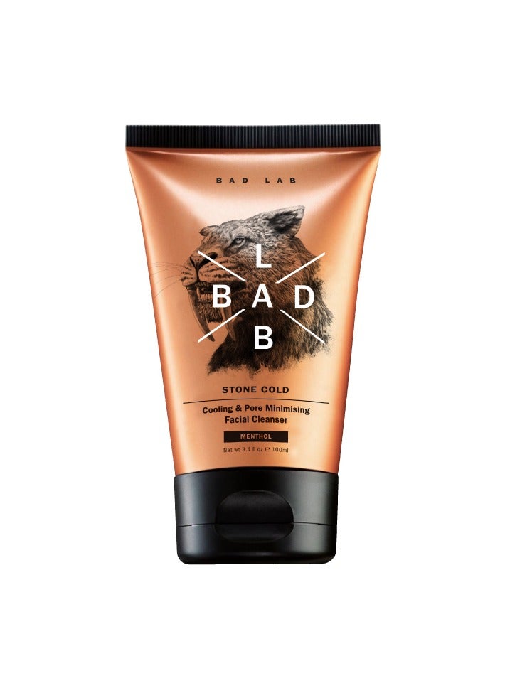 باد لاب منظف الوجه باد لاب ستون التبريد البارد وتقليل المسام - Image 1
