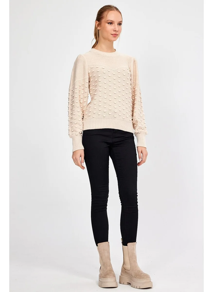 Alexandergardi Alexandergardı Crew Neck Knitted Sweater (AG-OUTKN0936)