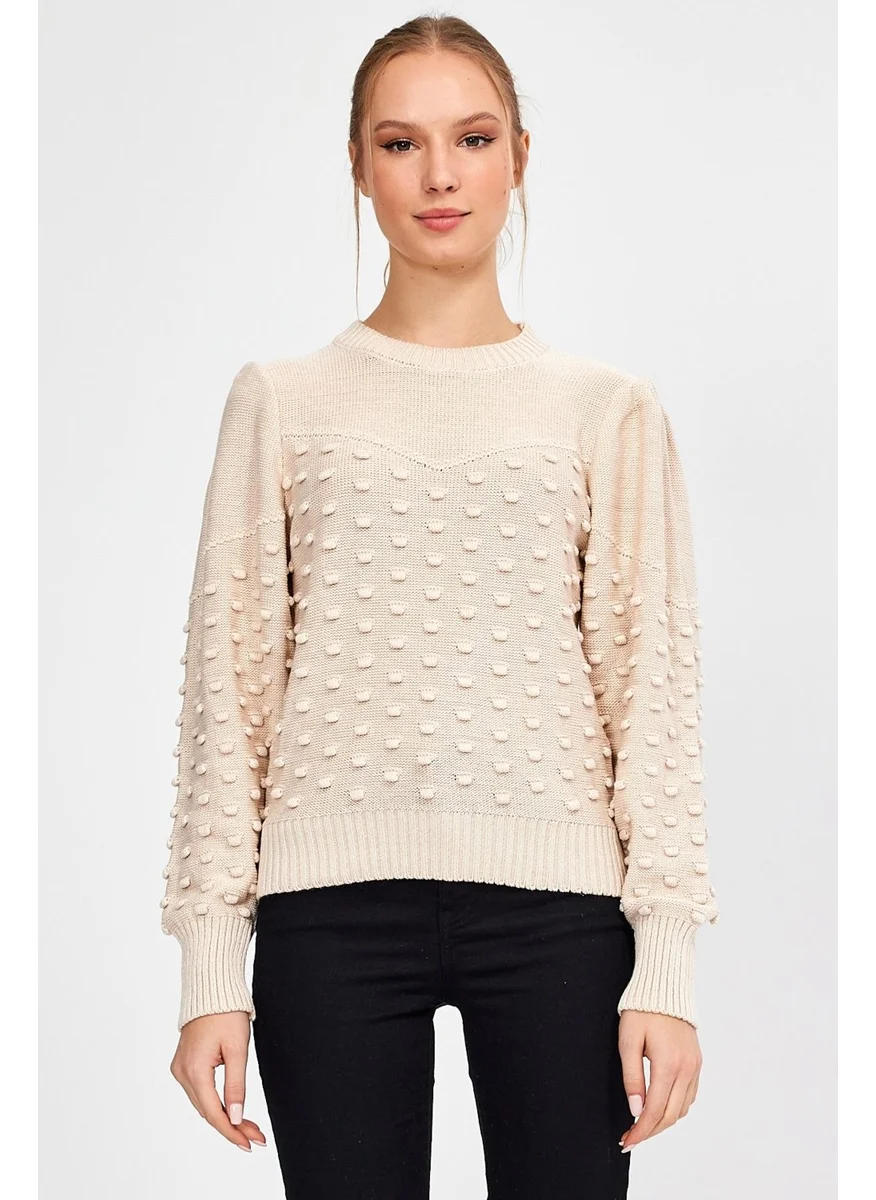Alexandergardi Alexandergardı Crew Neck Knitted Sweater (AG-OUTKN0936)