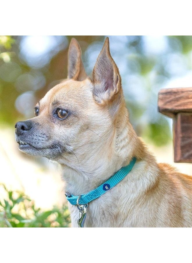 Blueberry Pet Essentials 21 Colors Classic Dog Collar, Marina Blue, X-Small, Neck 8"-11", Collars for Dogs 