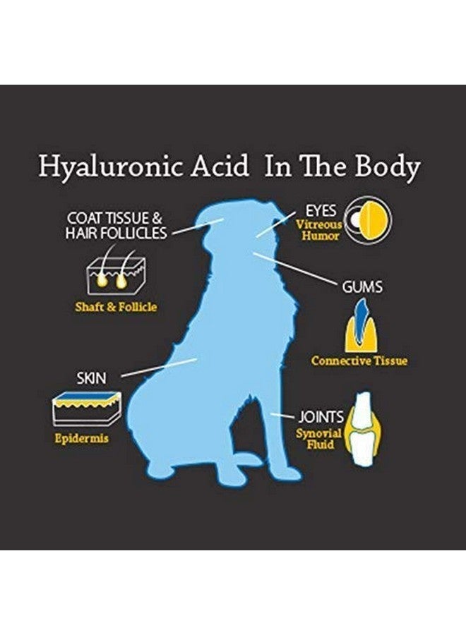 Hyalogic HyaFlex Pro-Complete Dog Joint Supplement, Canine Joint Support - Hyaluronic Acid Joint Supplement for Dogs -w/Glucosamine MSM Supplement 30-60 Day Supply, Cartilage & Coat Supplement - Image 3