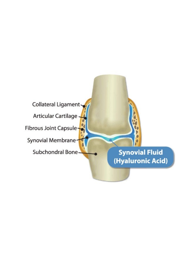 Hyalogic HyaFlex Pro-Complete Dog Joint Supplement, Canine Joint Support - Hyaluronic Acid Joint Supplement for Dogs -w/Glucosamine MSM Supplement 30-60 Day Supply, Cartilage & Coat Supplement - Image 5