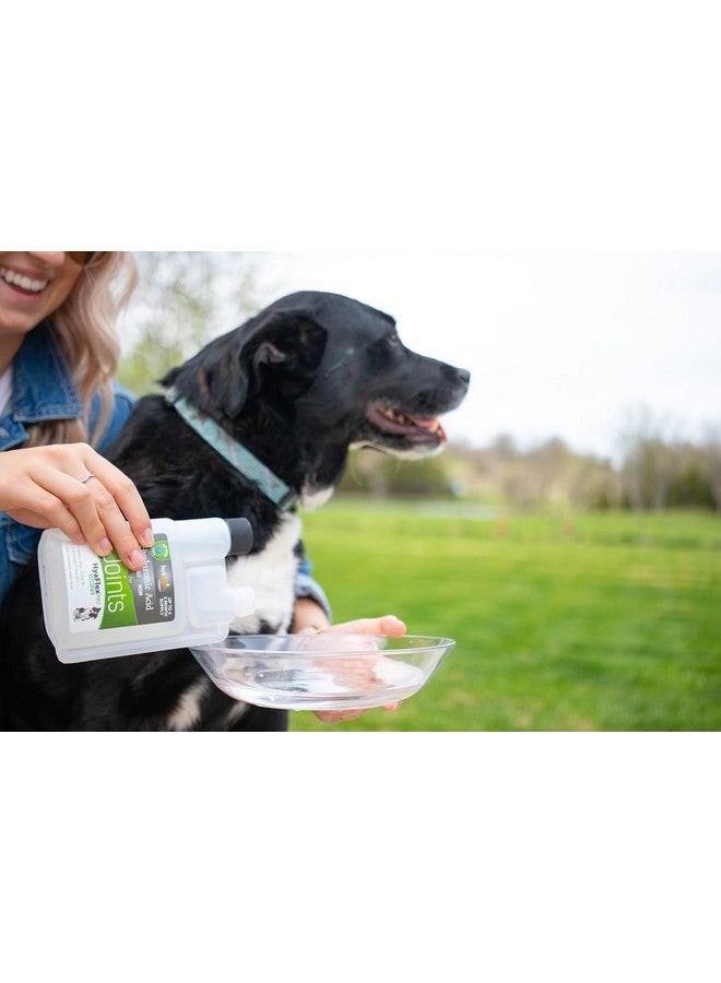 Hyalogic HyaFlex Pro-Complete Dog Joint Supplement, Canine Joint Support - Hyaluronic Acid Joint Supplement for Dogs -w/Glucosamine MSM Supplement 30-60 Day Supply, Cartilage & Coat Supplement - Image 4