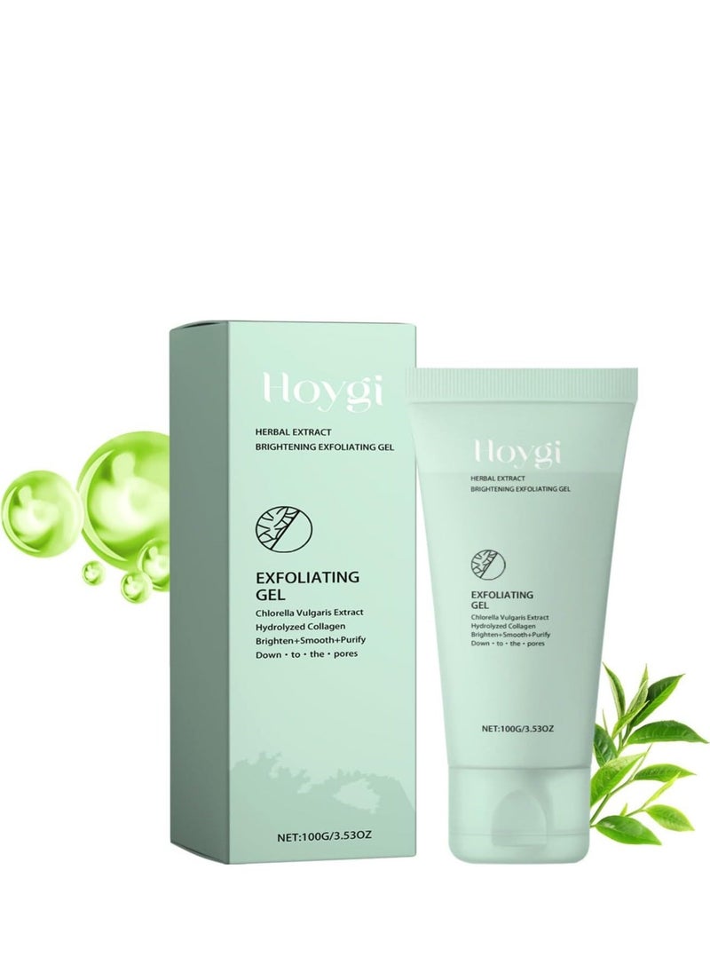 Generic Purifying Exfoliating Gel, 100g Facial Gentle Exfoliating Scrub, Natural Acne Body Exfoliating Gel Scrub, Improve Skin Tone and Texture, Hypoallergenic Formula, Fit for All Skin Types  - Image 1