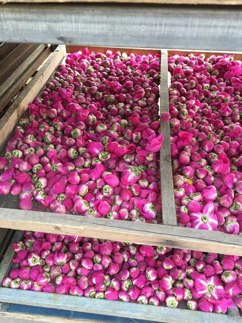 TooGet Natural Dried Peony Flowers - 4 OZ - Image 5