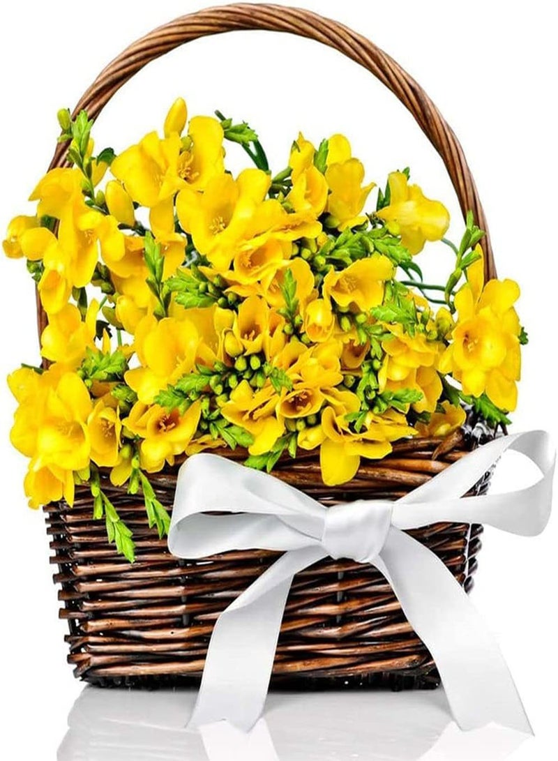 GGOOT 4pcs Freesia seeds for Planting Rare Varieties Pleasant Aroma Outdoor Courtyard Terrace Natural Growth Popular Spring Flowering seeds - Image 2