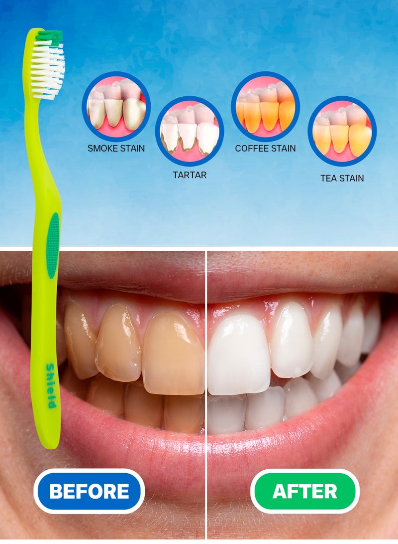 Shield Care فرشاة أسنان شيلد كير رايتو برقبة طويلة (رعاية عائلية - شعيرات متوسطة)، 4 ألوان - 12 قطعة (عبوة من 1) - Image 5